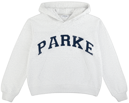 Parke Varsity Hoodie Gray Sweatshirt